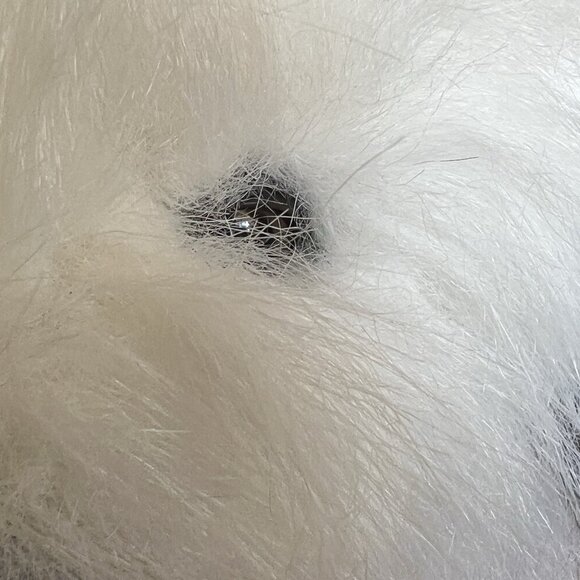 English Sheepdog Shaggy Dog Puppy Luigi Amani Stuffed Animal Korea 15" - Picture 11 of 17